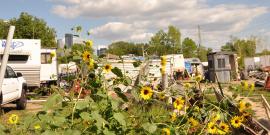 Sunflowers growing in the foreground of Near North camp, with a sided self-build building, several recreational vehicles, and a standalone wood-sided enclosed shower stall building before bits of the skyline of Minneapolis and a deep blue and white clouds sky.
